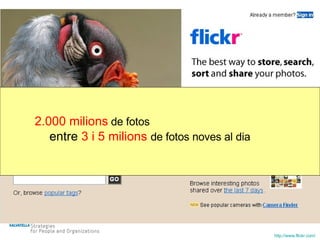 http://www.flickr.com/   entre  3 i 5 milions  de fotos noves al dia 2.000 milions   de fotos 