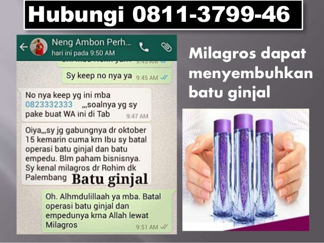 Cara Minum Milagros Untuk Batu Ginjal Seputar Minuman