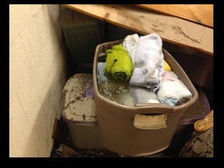 Detroit Flooding 2014