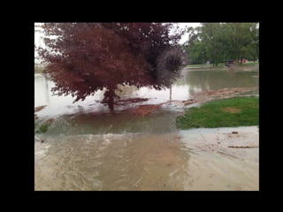 Detroit Flooding 2014
