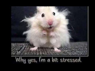 Detroit Flooding 2014