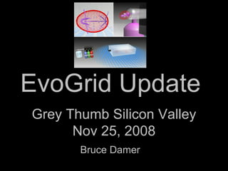 EvoGrid Update  Bruce Damer Grey Thumb Silicon Valley Nov 25, 2008 