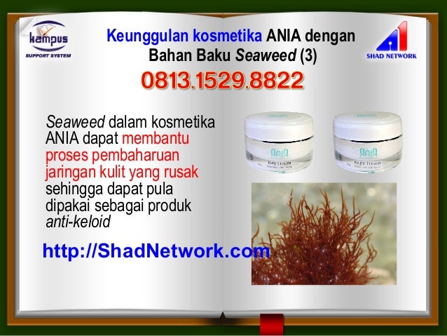 Bumil Cream Wajah Untuk