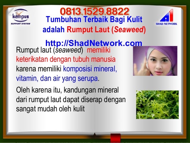 Cream Wajah Yg Aman Buat Bumil