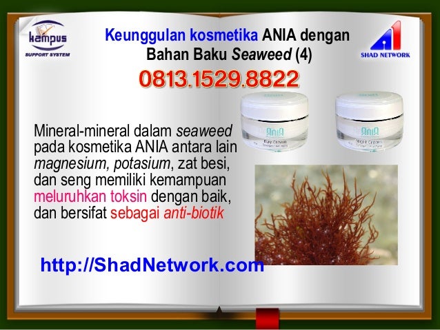 Cream Wajah Aman Untuk Ibu Menyusui Pemutih Wajah Ampuh