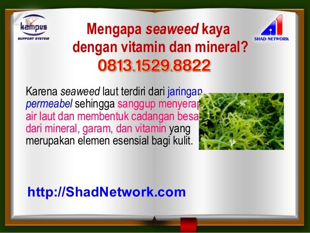 Pemutih Wajah Yang Aman Untuk Ibu Menyusui Krim Wajah