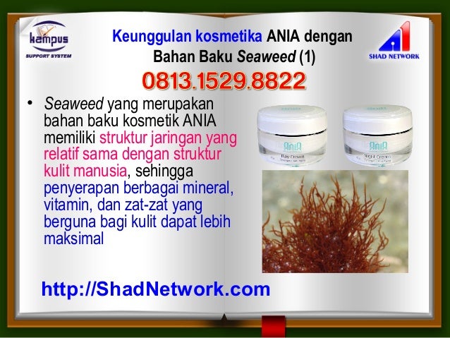 Jangan Asal Ini 7 Cream Pemutih Wajah Yang Aman Untuk Ibu