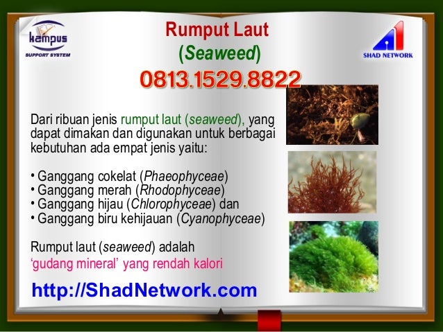 Buat Aman Ibu Cream Yg Hamil