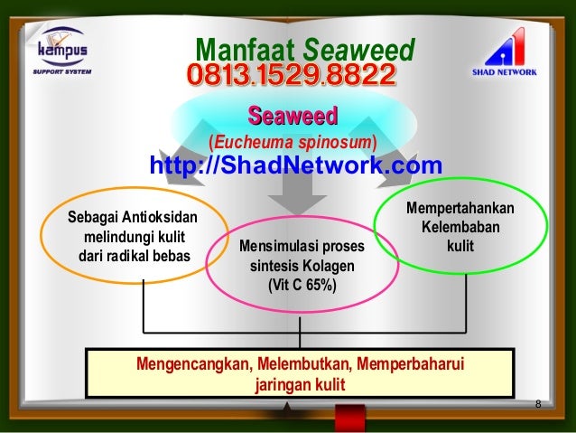 Merk Pelembab Dan Kosmetik Untuk Ibu Hamil Yang Aman Merk Pelembab Dan Kosmetik Untuk Ibu Hamil Yang Aman