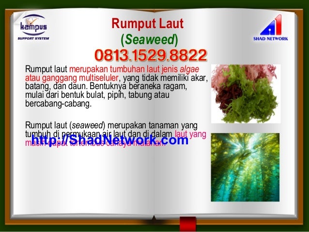 Rekomendasi 7 Merek Skincare Aman Untuk Ibu Hamil Teliti 99 Co