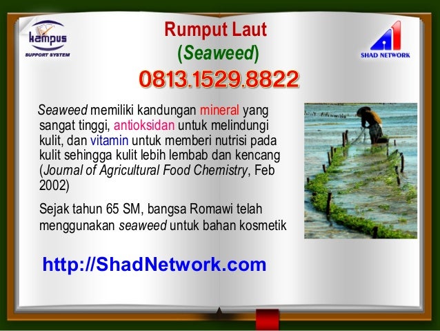 Bumil Ini 6 Pelembap Wajah Aman Untuk Anda Bumil Ini 6 Pelembap Wajah Aman Untuk Anda