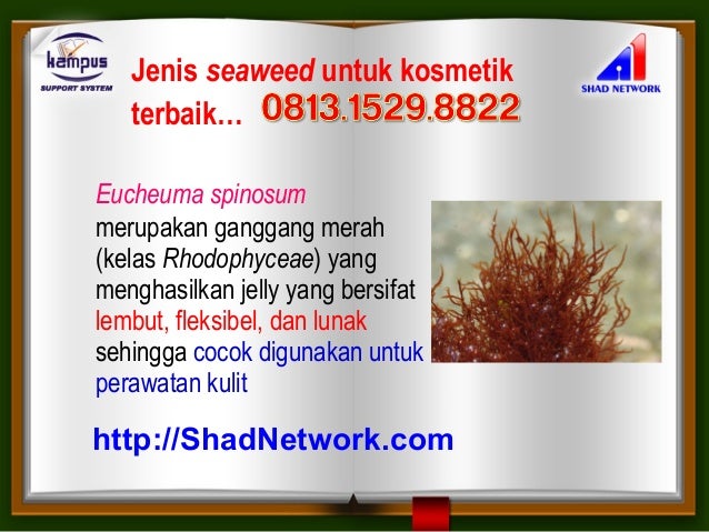 Jual Krim Wajah Yang Aman Untuk Ibu Hamil Murah Harga 
