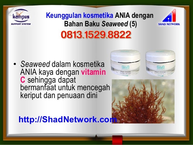 10 Cream Wajah Yang Aman Untuk Ibu Hamil Popmama Com