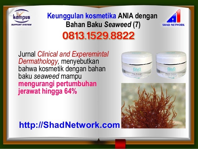 20 Cream Pemutih Wajah Laris Yang Terdaftar Aman Menurut 20 Cream Pemutih Wajah Laris Yang Terdaftar Aman Menurut