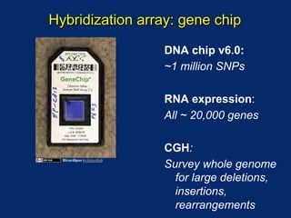 Hybridization array: gene chip

                           DNA chip v6.0:
                           ~1 million SNPs

                           RNA expression:
                           All ~ 20,000 genes

                           CGH:
                           Survey whole genome
  Ricardipus (wikipedia)



                             for large deletions,
                             insertions,
                             rearrangements
 