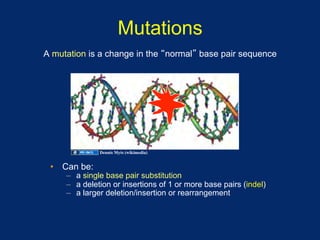 Mutations
A mutation is a change in the normal base pair sequence




              Dennis Myts (wikimedia)


 •  Can be:
     –  a single base pair substitution
     –  a deletion or insertions of 1 or more base pairs (indel)
     –  a larger deletion/insertion or rearrangement
 