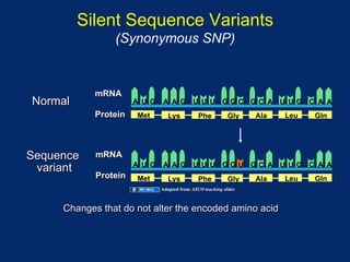 Silent Sequence Variants
                (Synonymous SNP)


            mRNA
Normal                A U G   A A G U U U GGC GC A U UG C A A
            Protein   Met        Lys          Phe          Gly    Ala   Leu   Gln




Sequence    mRNA
                      A U G   A A G U U U GGU GC A U UG C A A
 variant
            Protein   Met        Lys          Phe          Gly    Ala   Leu   Gln
                              Adapted from ASCO teaching slides



     Changes that do not alter the encoded amino acid
 