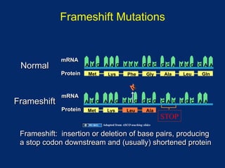 Frameshift Mutations


             mRNA
 Normal                A U G    A A G U U U GGC GC A U UG C A A
             Protein   Met        Lys           Phe          Gly   Ala    Leu   Gln



             mRNA
Frameshift             A U G A A G U U G GC G C A U UGC A A
             Protein   Met       Lys           Leu           Ala
                                                                   STOP
                               Adapted from ASCO teaching slides


 Frameshift: insertion or deletion of base pairs, producing
 a stop codon downstream and (usually) shortened protein
 