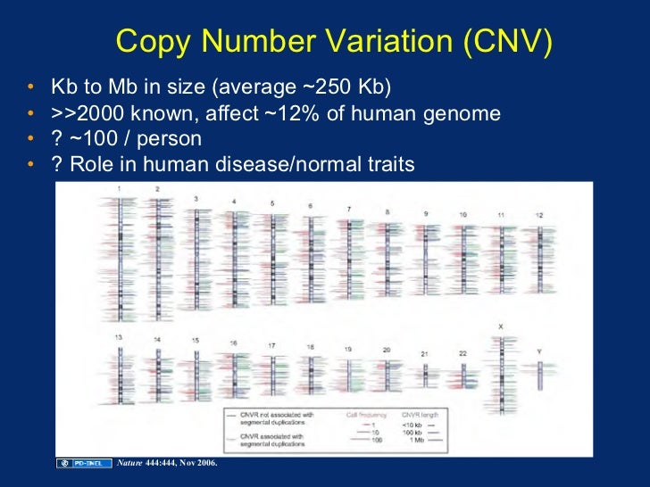 08.13.08 DNA Sequence Variation