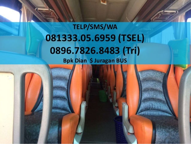 Sewa Bus Pariwisata Kalisari Surabaya: Panduan Lengkap Memilih Armada Terbaik untuk Perjalanan Anda