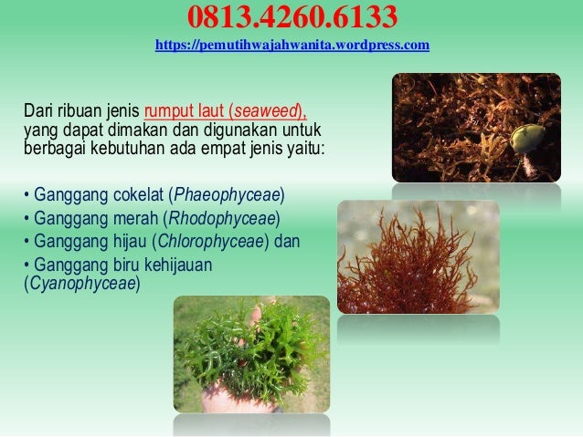 Ibu Yang Serum Aman Wajah Pencerah Hamil Untuk