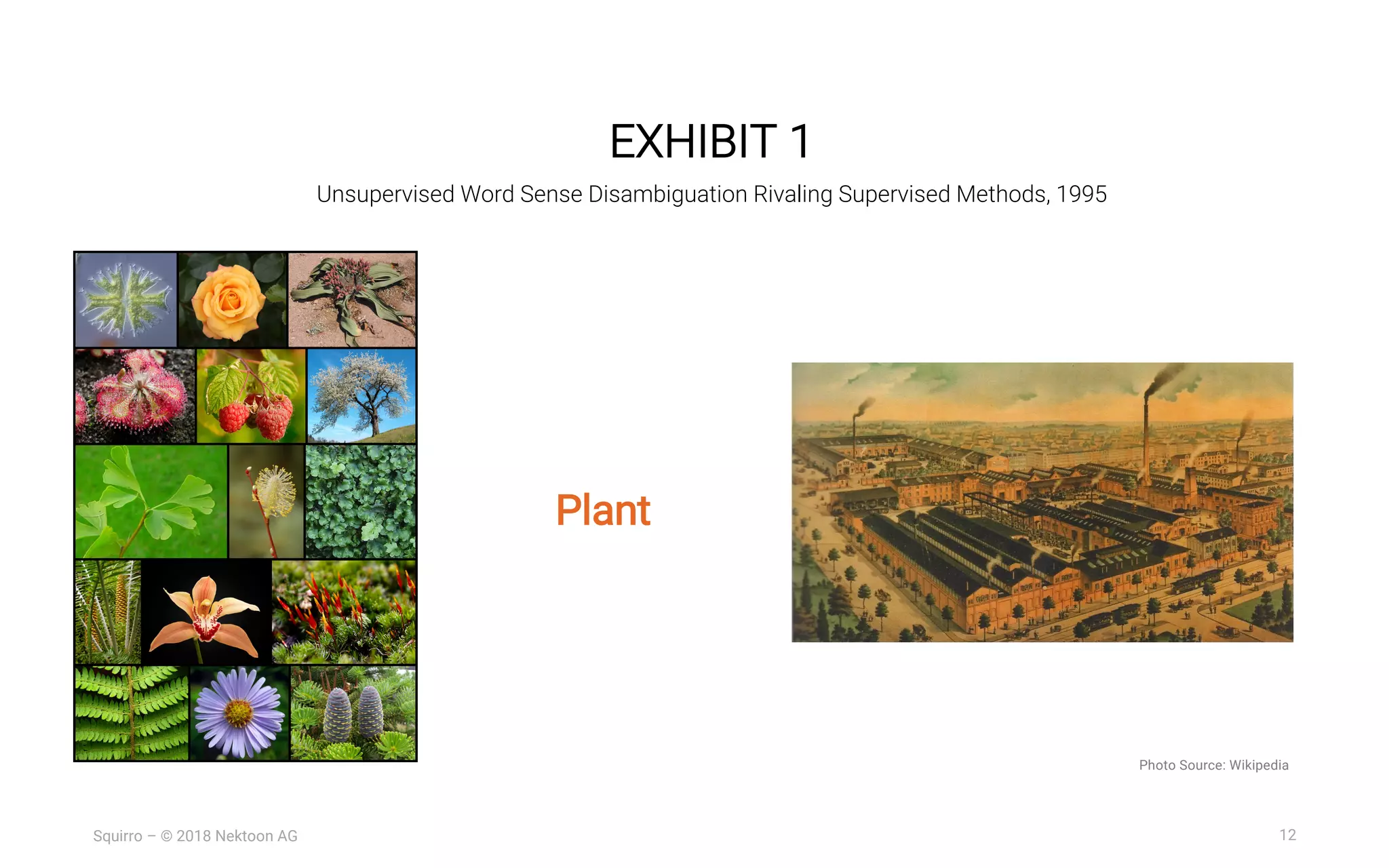12Squirro – © 2018 Nektoon AG
EXHIBIT 1
Unsupervised Word Sense Disambiguation Rivaling Supervised Methods, 1995
Plant
Photo Source: Wikipedia
 