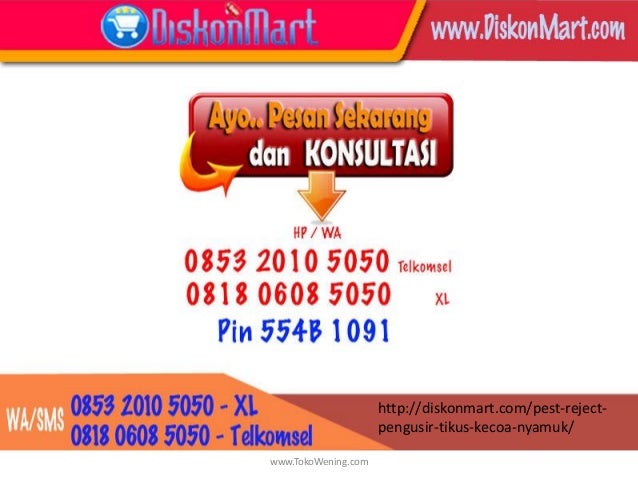 0818 0608 5050 cara membasmi tikus, cara mengusir tikus 