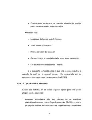 9
• Prácticamente se alimenta de cualquier alimento del hombre,
particularmente aquella en fermentación.
Etapas de vida:
• La capsula de huevos cada 1-2 meses
• 24-48 huevos por capsula
• 28 días para salir del cascaron
• Cargan consigo la capsula hasta 24 horas antes que nazcan
• Los adultos viven alrededor de 180 días.
Si la cucaracha es rociada antes de que esto suceda, deja atrás la
capsula, la cual por lo general perece. Es considerada por los
consumidores como la plaga numero uno en los EE.UU.
1.4.1.1.2 Tipo de servicio de control
Existen dos métodos, en los cuales se puede aplicar para este tipo de
plaga y son los siguientes:
1 Aspersión generalizada ultra bajo volumen con un insecticida
piretroide deltametrina (marca Bayer Registro No. PP-082) con efecto
prolongado, sin olor, sin dejar manchas, proporcionando un control de
 