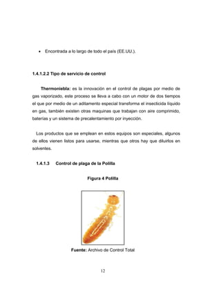 12
• Encontrada a lo largo de todo el país (EE.UU.).
1.4.1.2.2 Tipo de servicio de control
Thermoniebla: es la innovación en el control de plagas por medio de
gas vaporizado, este proceso se lleva a cabo con un motor de dos tiempos
el que por medio de un aditamento especial transforma el insecticida líquido
en gas, también existen otras maquinas que trabajan con aire comprimido,
baterías y un sistema de precalentamiento por inyección.
Los productos que se emplean en estos equipos son especiales, algunos
de ellos vienen listos para usarse, mientras que otros hay que diluirlos en
solventes.
1.4.1.3 Control de plaga de la Polilla
Figura 4 Polilla
Fuente: Archivo de Control Total
 