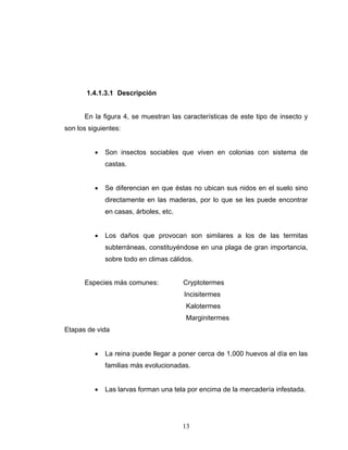 13
1.4.1.3.1 Descripción
En la figura 4, se muestran las características de este tipo de insecto y
son los siguientes:
• Son insectos sociables que viven en colonias con sistema de
castas.
• Se diferencian en que éstas no ubican sus nidos en el suelo sino
directamente en las maderas, por lo que se les puede encontrar
en casas, árboles, etc.
• Los daños que provocan son similares a los de las termitas
subterráneas, constituyéndose en una plaga de gran importancia,
sobre todo en climas cálidos.
Especies más comunes: Cryptotermes
Incisitermes
Kalotermes
Marginitermes
Etapas de vida
• La reina puede llegar a poner cerca de 1,000 huevos al día en las
familias más evolucionadas.
• Las larvas forman una tela por encima de la mercadería infestada.
 