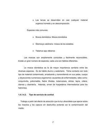 17
• Las larvas se desarrollan en casi cualquier material
orgánico húmedo y en descomposición.
Especies más comunes:
• Musca doméstica. Mosca doméstica
• Stomoxys calcitrans- mosca de los establos
• Tabanus spp.-tábanos
Las moscas son ampliamente conocidas y fácilmente reconocibles.
Existe un gran número de especies, cada una con hábitos diferentes.
La mosca doméstica es la de mayor importancia sanitaria entre las
diversas especies. Es de hábito diurno y sedentario. Toma contacto con todo
tipo de material contaminado, arrastrando y transmitiendo en sus patas, cuerpo
y deyecciones numerosos organismos causantes de enfermedades, tales como:
conjuntivitis, poliomielitis, fiebre tifoidea, tuberculosis, ántrax, lepra, cólera,
diarrea y disentería. Además, sirven de hospederos intermediarios para los
helmintos.
1.4.1.4.2. Tipo de servicio de control
Trabaja a partir del efecto de atracción que la luz ultravioleta que ejerce sobre
los insectos y los captura sin destruirlos evitando así la contaminación del
medio.
 