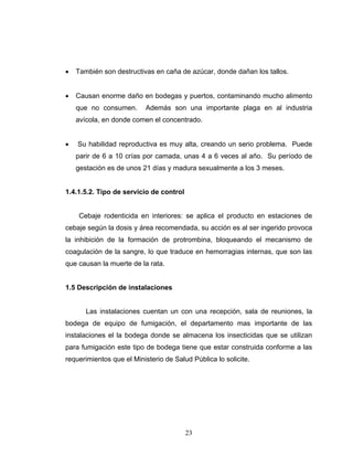 23
• También son destructivas en caña de azúcar, donde dañan los tallos.
• Causan enorme daño en bodegas y puertos, contaminando mucho alimento
que no consumen. Además son una importante plaga en al industria
avícola, en donde comen el concentrado.
• Su habilidad reproductiva es muy alta, creando un serio problema. Puede
parir de 6 a 10 crías por camada, unas 4 a 6 veces al año. Su período de
gestación es de unos 21 días y madura sexualmente a los 3 meses.
1.4.1.5.2. Tipo de servicio de control
Cebaje rodenticida en interiores: se aplica el producto en estaciones de
cebaje según la dosis y área recomendada, su acción es al ser ingerido provoca
la inhibición de la formación de protrombina, bloqueando el mecanismo de
coagulación de la sangre, lo que traduce en hemorragias internas, que son las
que causan la muerte de la rata.
1.5 Descripción de instalaciones
Las instalaciones cuentan un con una recepción, sala de reuniones, la
bodega de equipo de fumigación, el departamento mas importante de las
instalaciones el la bodega donde se almacena los insecticidas que se utilizan
para fumigación este tipo de bodega tiene que estar construida conforme a las
requerimientos que el Ministerio de Salud Pública lo solicite.
 