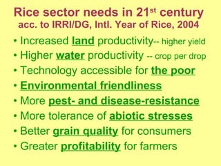 Rice sector needs in 21 st  century acc. to IRRI/DG, Intl. Year of Rice, 2004 <ul><li>Increased  land  productivity -- hig...