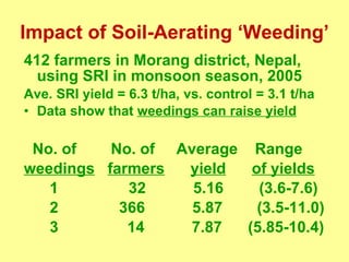 Impact of Soil-Aerating ‘Weeding’ <ul><li>412 farmers in Morang district, Nepal, using SRI in monsoon season, 2005 </li></...