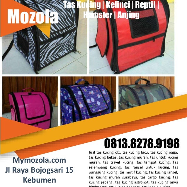 Tas Kucing Murah Tas Kucing Persia Tas Kucing Jogja 0813 8278 9198
