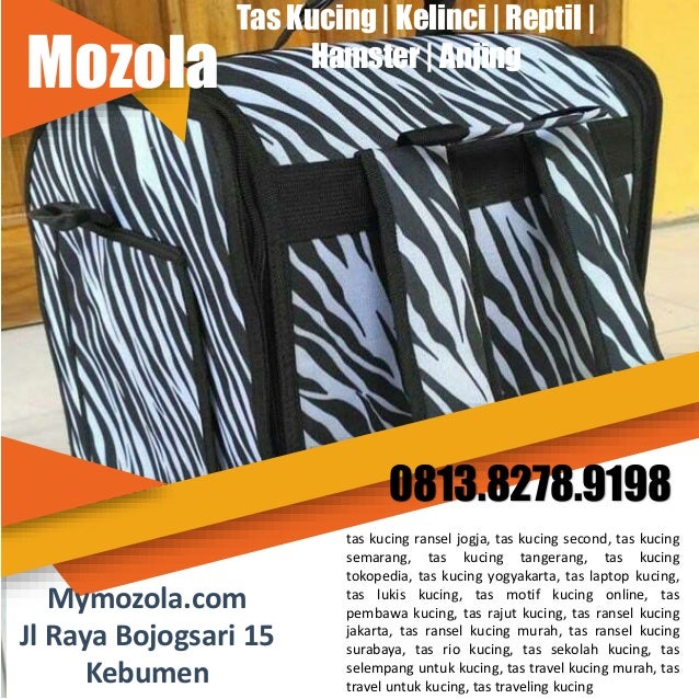 0813 8278 9198 Jual Tas Kucing Pet Cargo Jakarta Padang 0813 8278 9198 Jual Tas Kucing Pet Cargo Jakarta Padang