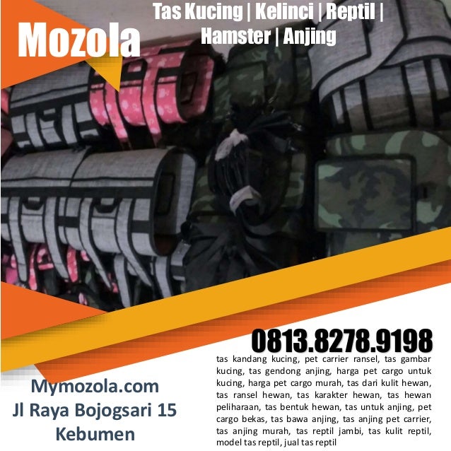 0813 8278 9198 Jual Tas Kucing Pet Cargo Tangerang Jayapura