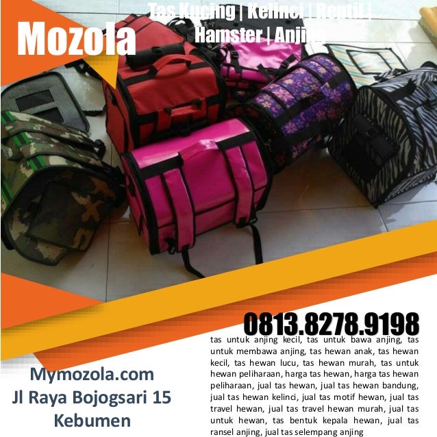0813.8278.9198 Jual Tas Kucing, Pet Cargo Tangerang, Jayapura