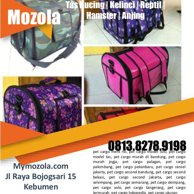 0813.8278.9198 Jual Tas Kucing, Pet Cargo Tangerang, Jayapura