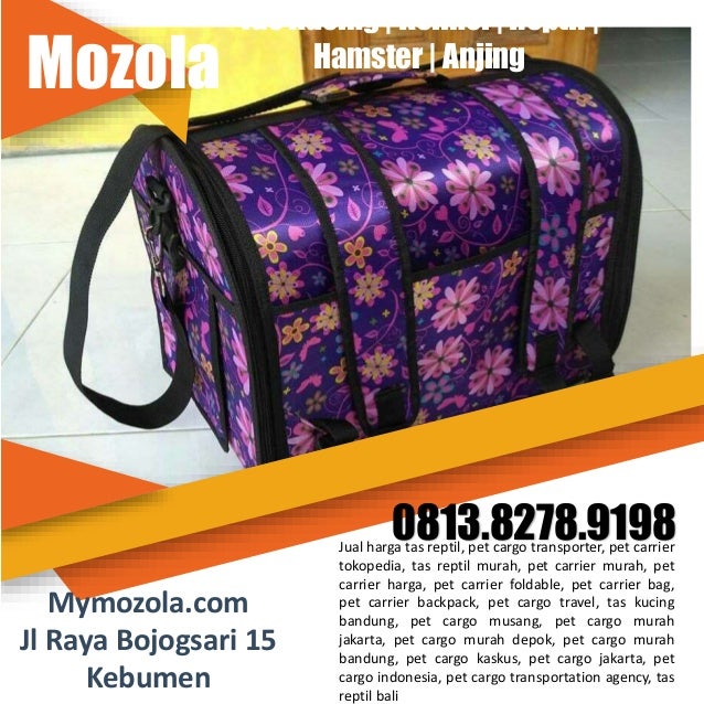 0813 8278 9198 Jual Tas Kucing Pet Cargo Makassar 0813 8278 9198 Jual Tas Kucing Pet Cargo Makassar