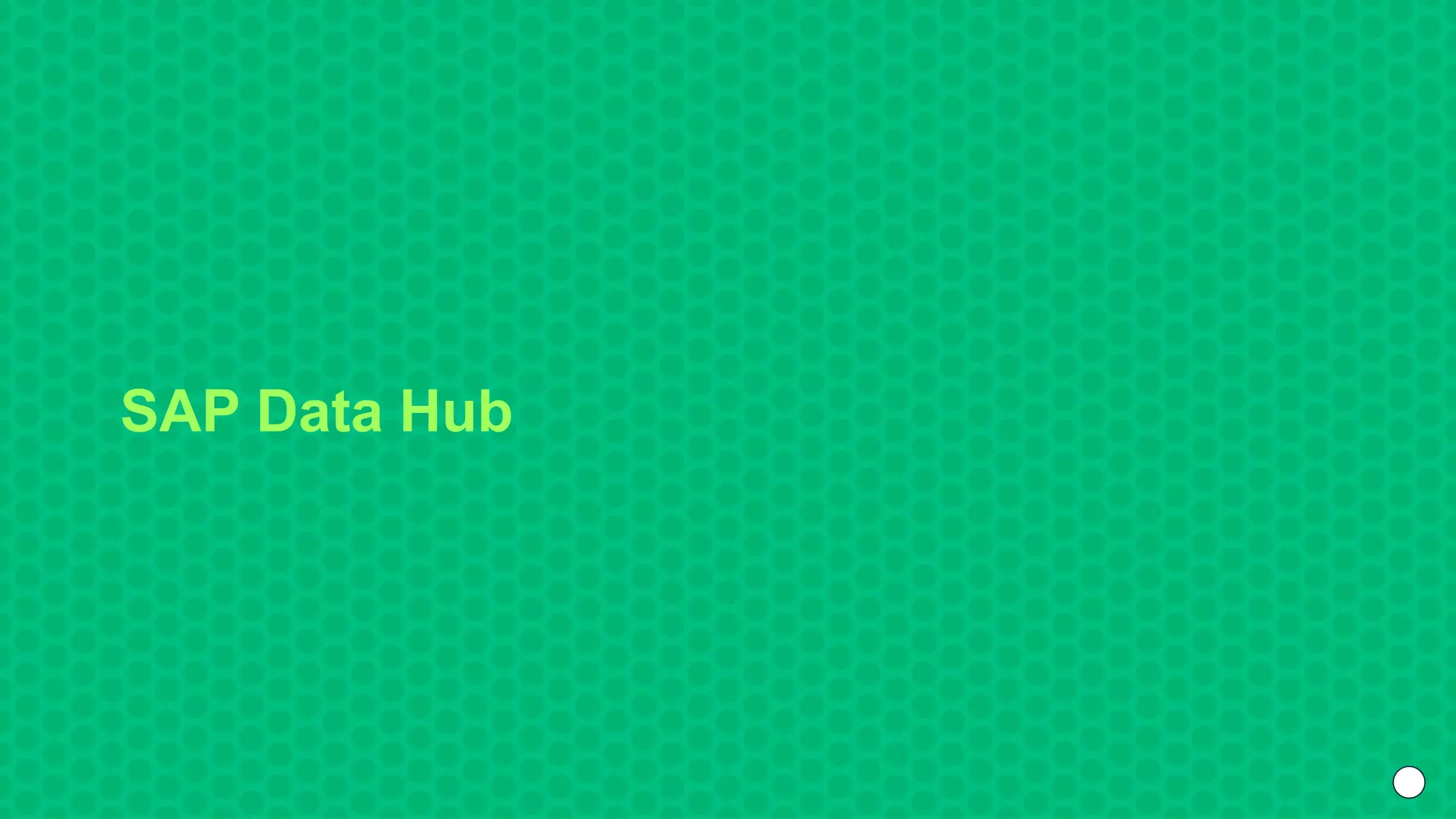 SAP Data Hub
 
