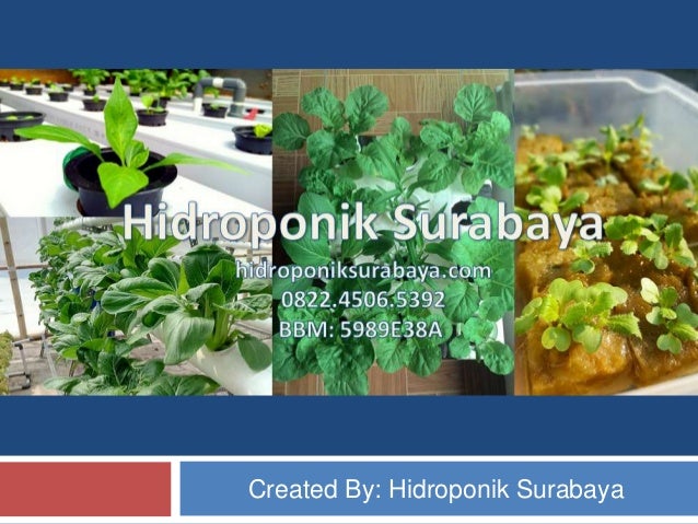 0822 4506 5392 Telkomsel nutrisi ihidroponik pdfi 0822 4506 5392 Telkomsel nutrisi ihidroponik pdfi