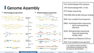 10
Genome Assembly
Assembly & Indexing
Introduction Genome Annotation Splice Site Prediction RNA-Seq Prediction
Li, H., Durbin, R. Genome assembly
in the telomere-to-telomere era. Nat
Rev Genet 25, 658–670 (2024).
1976 Bacteriophage MS2 ~3.5 kb
1977 Sanger sequencing
1990-2000: BAC-by-BAC shot gun strategy
2003 near-complete human genome
2000s second-generation sequencing
short-read sequencing
(Illumina)
2010s third-generation sequencing
long-read sequencing
(PacBio; ONT)
2019 Telomere-to-Telomere (T2T) era
2022 First complete human genome
1972 Bacteriophage MS2 coat gene
Homozygous genome Heterozygous genome
 
