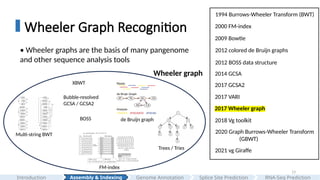 13
Wheeler Graph Recognition
Assembly & Indexing
Introduction Genome Annotation Splice Site Prediction RNA-Seq Prediction
2000 FM-index
2009 Bowtie
1994 Burrows-Wheeler Transform (BWT)
2012 BOSS data structure
2014 GCSA
2012 colored de Bruijn graphs
2017 VARI
2017 Wheeler graph
2017 GCSA2
2020 Graph Burrows-Wheeler Transform
(GBWT)
2021 vg Giraffe
2018 Vg toolkit
• Wheeler graphs are the basis of many pangenome
and other sequence analysis tools
Multi-string BWT
FM-index
XBWT
Trees / Tries
de Bruijn graph
Bubble-resolved
GCSA / GCSA2
BOSS
Wheeler graph
 