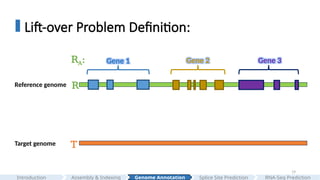 19
Lift-over Problem Definition:
Reference genome
Target genome
Gene 1 Gene 2 Gene 3
R
T
RA:
Assembly & Indexing
Introduction Genome Annotation Splice Site Prediction RNA-Seq Prediction
 