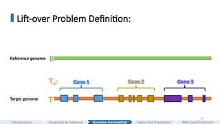 20
Lift-over Problem Definition:
Reference genome
Target genome
R
T
Gene 1 Gene 2 Gene 3
TA:
Assembly & Indexing
Introduction Genome Annotation Splice Site Prediction RNA-Seq Prediction
 