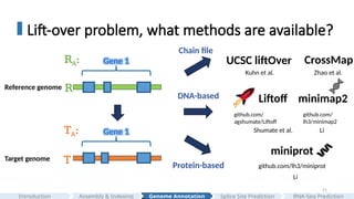 21
Lift-over problem, what methods are available?
Reference genome
Target genome T
Gene 1
R
RA:
Gene 1
TA:
github.com/
lh3/minimap2
minimap2
github.com/
agshumate/Liftoff
github.com/lh3/miniprot
miniprot
DNA-based
Protein-based
Liftoff
Chain file
CrossMap
UCSC liftOver
Kuhn et al. Zhao et al.
Shumate et al. Li
Li
Assembly & Indexing
Introduction Genome Annotation Splice Site Prediction RNA-Seq Prediction
 