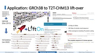 22
Application: GRCh38 to T2T-CHM13 lift-over
GRCh38
(Dec 2013)
T2T-CHM13
(Jan 2022)
• 238 Mbp added and corrected
• 180 Mbp of centromeric satellites
• 68 Mbp of segmental duplications
• 10 Mbp of rDNAs
• 182 Mbp of entirely novel sequence
• 1956 novel genes including 99 protein-coding
NCBI Build 34
NCBI Build 35
NCBI Build 36.1
GRCh37
Assembly & Indexing
Introduction Genome Annotation Splice Site Prediction RNA-Seq Prediction
 