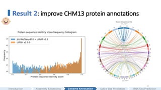 24
Result 2: improve CHM13 protein annotations
Assembly & Indexing
Introduction Genome Annotation Splice Site Prediction RNA-Seq Prediction
 