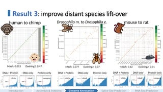 25
Result 3: improve distant species lift-over
human to chimp Drosophila m. to Drosophila e. mouse to rat
Liftoff miniprot
LiftOn Liftoff miniprot
LiftOn
Liftoff miniprot
LiftOn
DNA + Protein DNA-only Protein-only DNA + Protein DNA-only Protein-only
DNA + Protein DNA-only Protein-only
Mash: 0.013 Dashing2: 0.47 Mash: 0.12 Dashing2: 0.01
Mash: 0.077 Dashing2: 0.07
Assembly & Indexing
Introduction Genome Annotation Splice Site Prediction RNA-Seq Prediction
 
